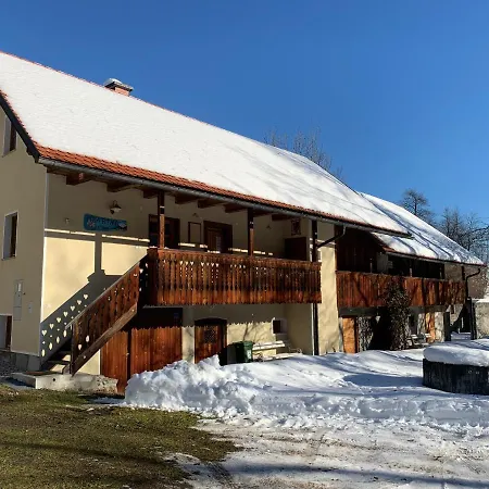 House Alpine Rose Villa Mojstrana Exterior photo