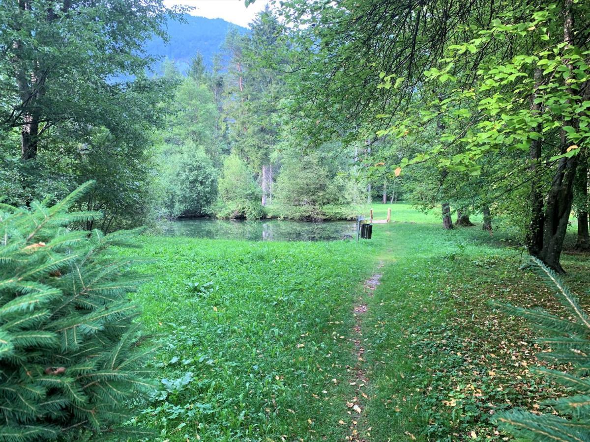Počitniška hiša House Alpine Rose Mojstrana