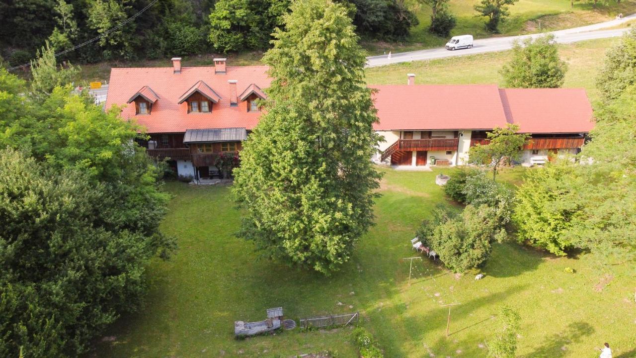 House Alpine Rose * Mojstrana